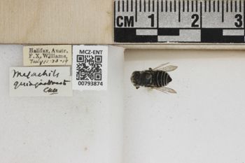 Media type: image;   Entomology 793874 Aspect: Labels